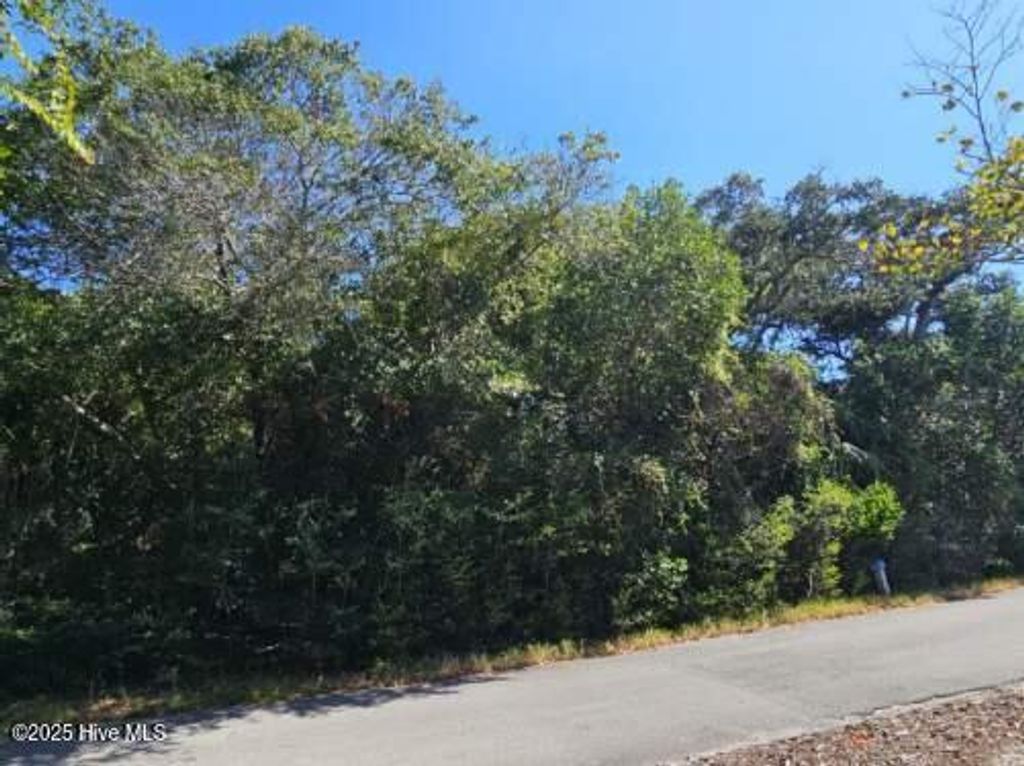 Photo of 653 Wash Woods Way, Bald Head Island, NC 28461 (MLS # 100525141)