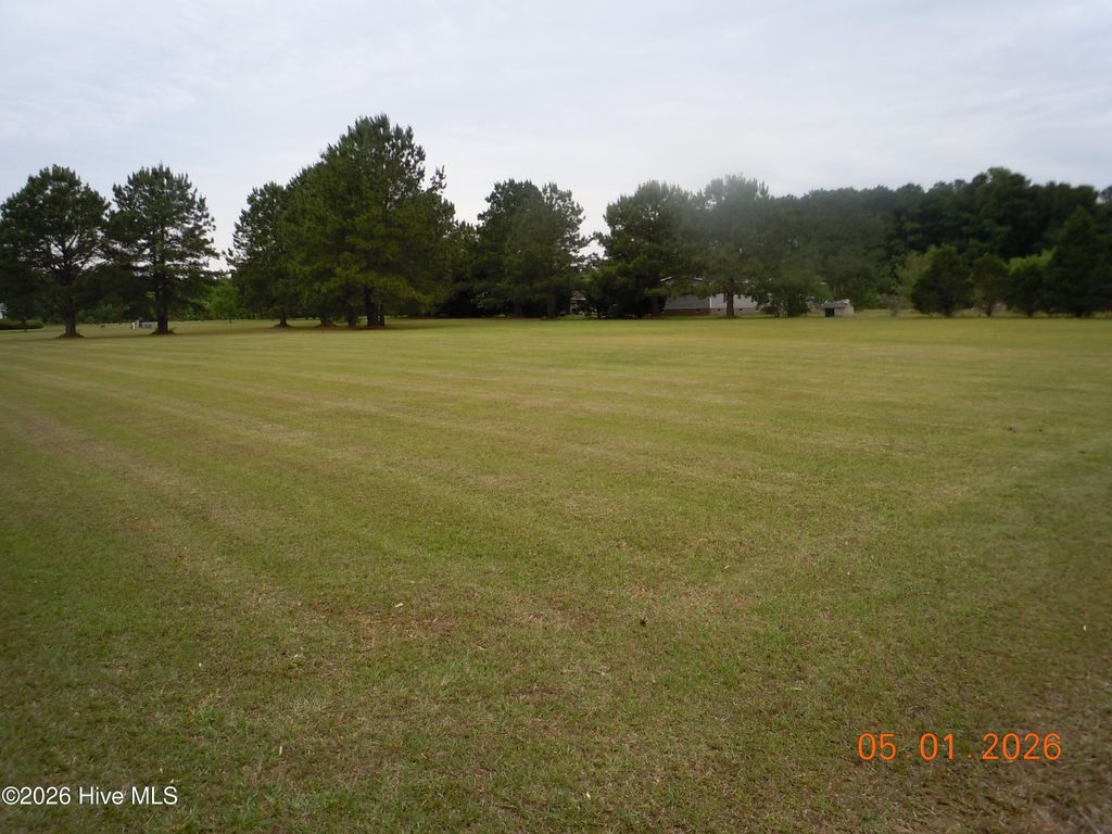 Photo of 317 Herbert Norris Road, Tabor City, NC 28463 (MLS # 100571079)