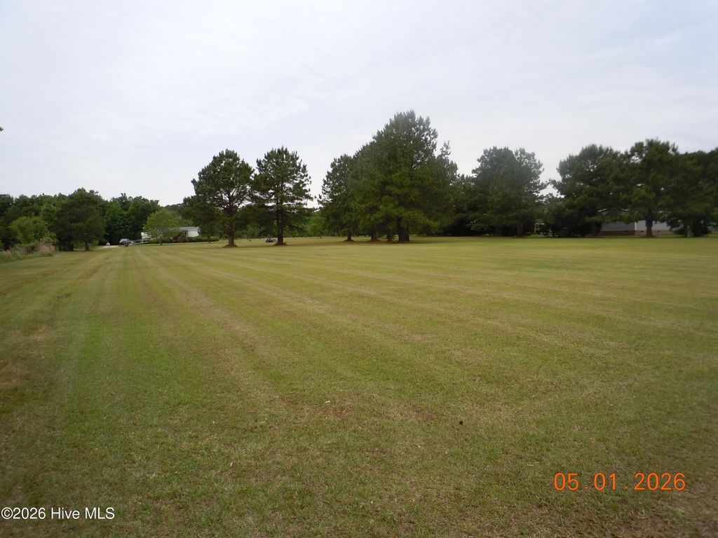Photo of 317 Herbert Norris Road, Tabor City, NC 28463 (MLS # 100571079)