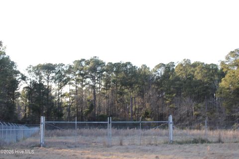 Tiny photo for 5891 Us Hwy. 117, Burgaw, NC 28425 (MLS # 100553631)