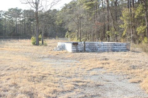 Tiny photo for 5891 Us Hwy. 117, Burgaw, NC 28425 (MLS # 100553631)