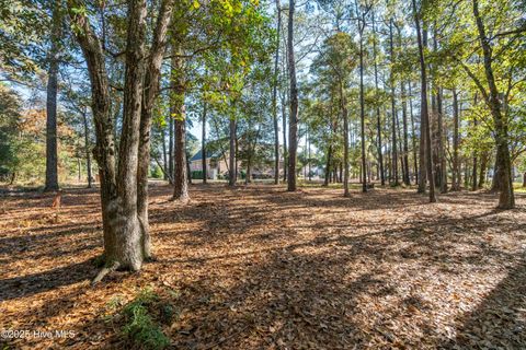 Tiny photo for 342 Genoes Point Road SW, Supply, NC 28462 (MLS # 100545340)