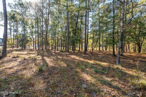 Tiny photo for 342 Genoes Point Road SW, Supply, NC 28462 (MLS # 100545340)