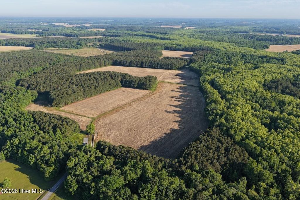 Photo of 0 Kirkman Road, Robersonville, NC 27871 (MLS # 100575589)