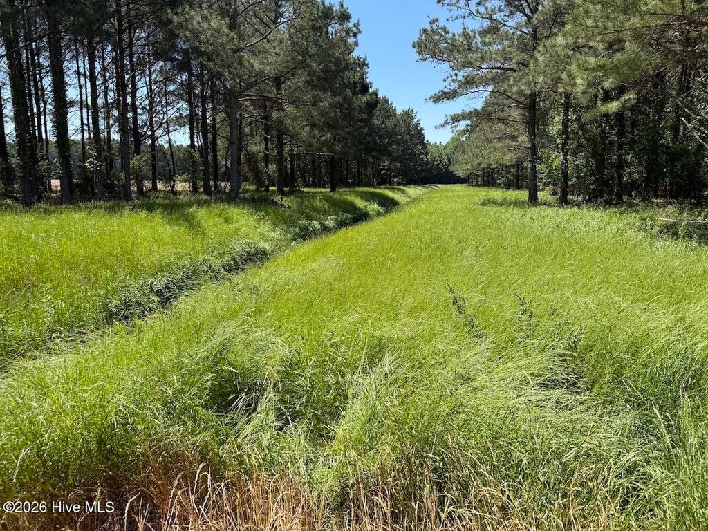Photo of 0 Kirkman Road, Robersonville, NC 27871 (MLS # 100575589)