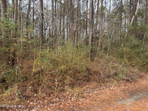 Tiny photo for 643 Walnut Drive, Jacksonville, NC 28540 (MLS # 100550935)