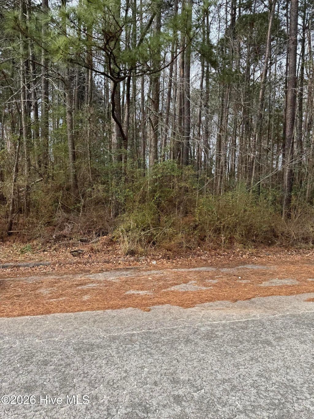 Photo of 643 Walnut Drive, Jacksonville, NC 28540 (MLS # 100550935)