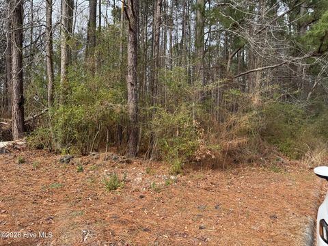 Tiny photo for 643 Walnut Drive, Jacksonville, NC 28540 (MLS # 100550935)