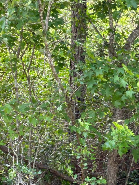 Vacant Land For Sale - 1773 Beech Road<br/> Southport, NC 28461