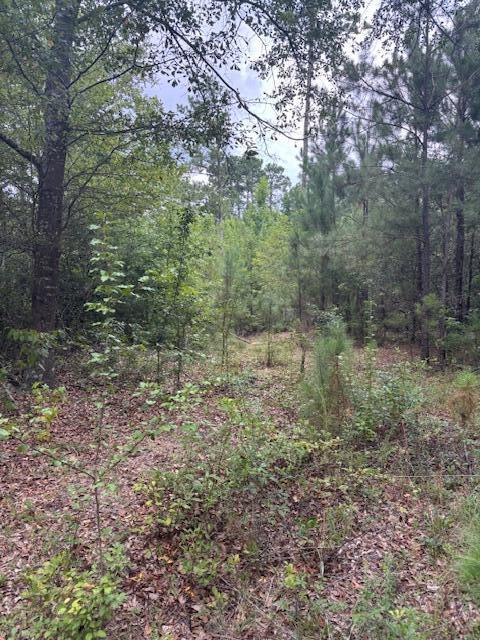 1912 Pine Hollow Drive