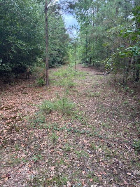 1912 Pine Hollow Drive