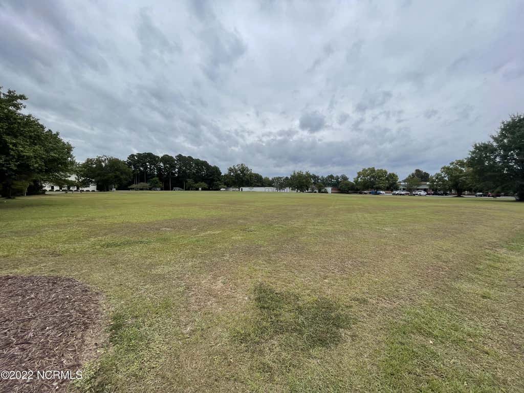 Photo of 1219 Parkway Drive, Goldsboro, NC 27534 (MLS # 100588258)