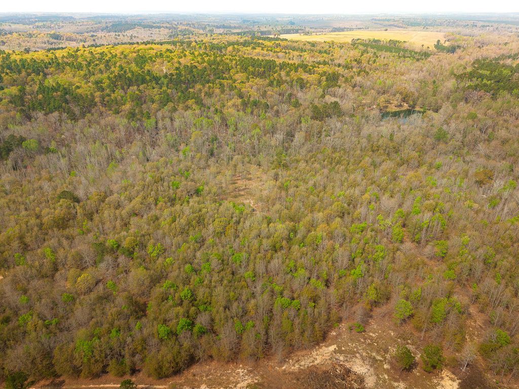 Photo of 0 23 Highway, Waynesboro, GA 30830 (MLS # 553758)