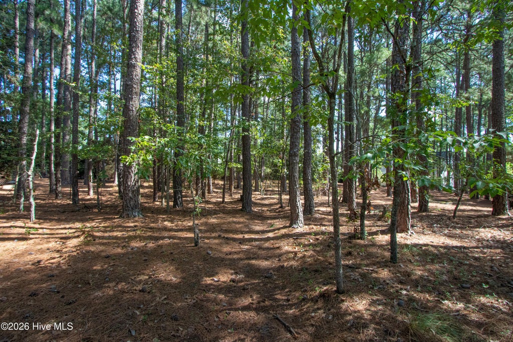 Photo of 245 Pine Vista Drive, Pinehurst, NC 28374 (MLS # 100604416)