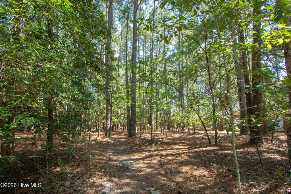 Photo of 245 Pine Vista Drive, Pinehurst, NC 28374 (MLS # 100604416)