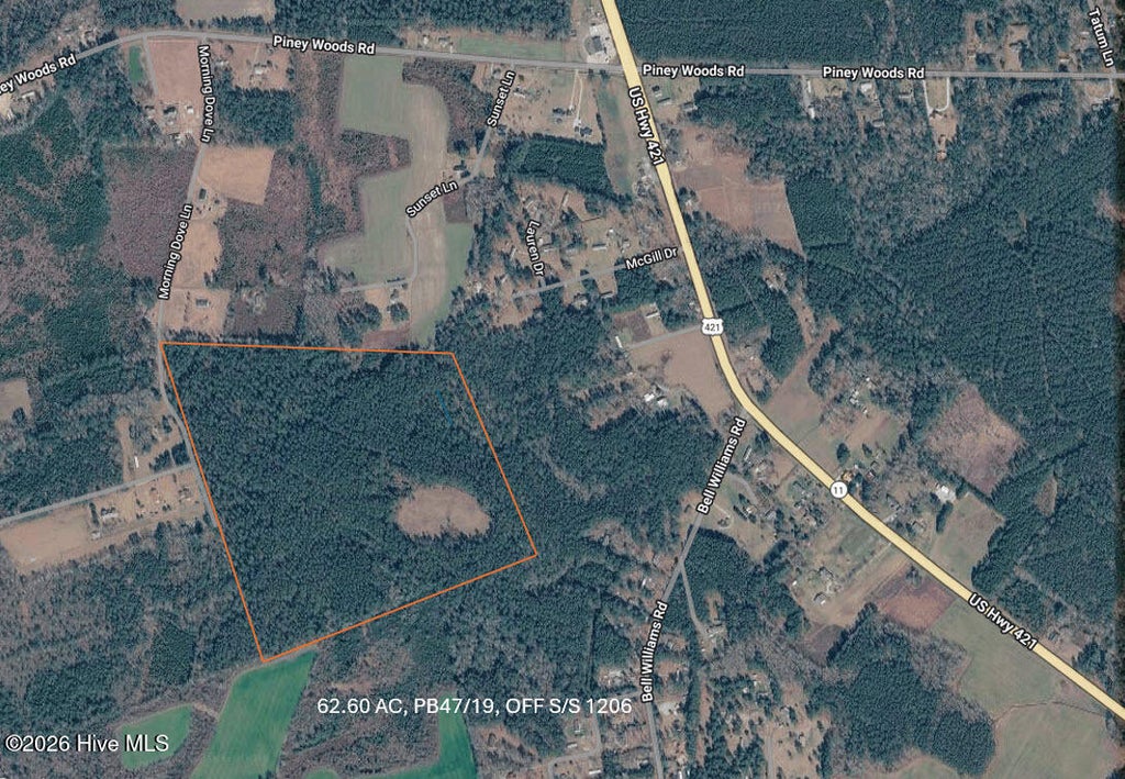 Photo of 6260 Morning Dove Ln, Watha, NC 28478 (MLS # 100595551)