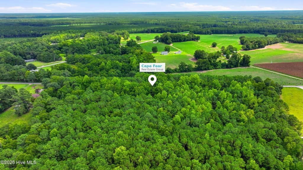 Photo of 2 Point Caswell Road, Willard, NC 28478 (MLS # 100596994)