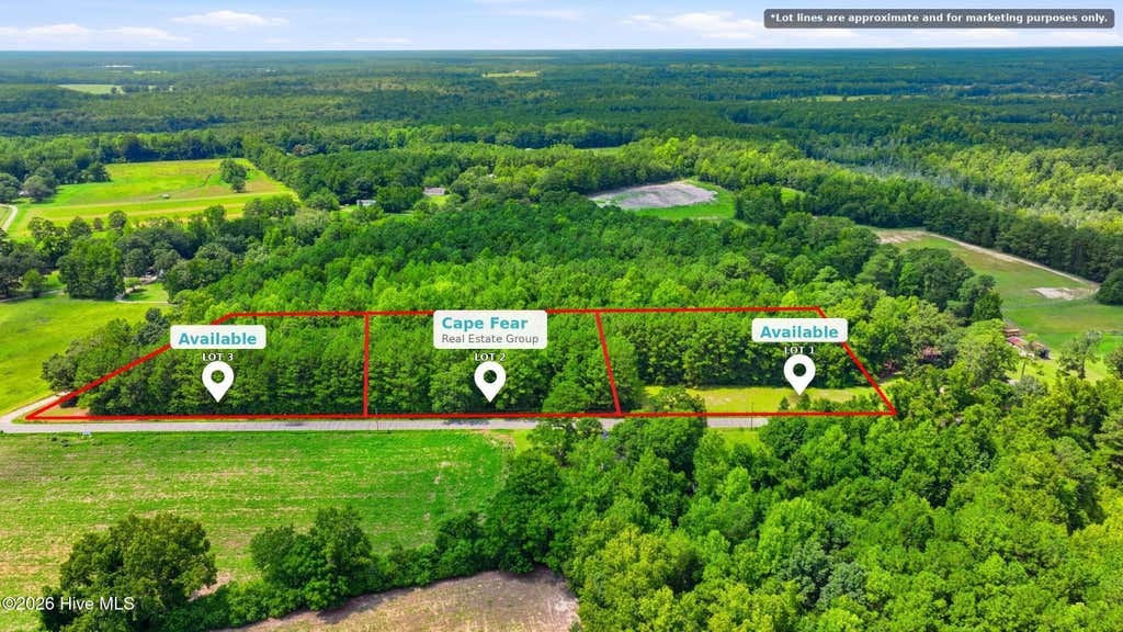 Photo of 2 Point Caswell Road, Willard, NC 28478 (MLS # 100596994)
