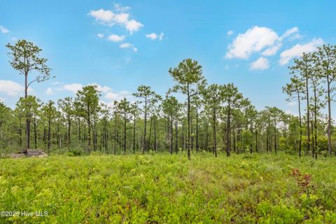 17 Hwy Off Tract 5b Hampstead NC 28443