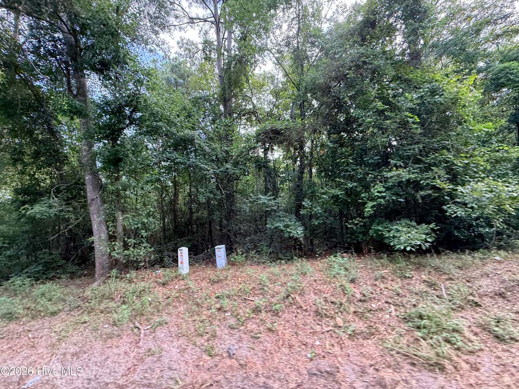 Photo of 1428 Rainbow Falls Road, North Augusta, SC 29860 (MLS # 100597271)