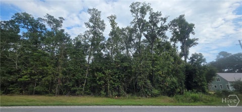 Vacant Land For Sale - 2440 Ga Highway 119<br/> Guyton, GA 31312