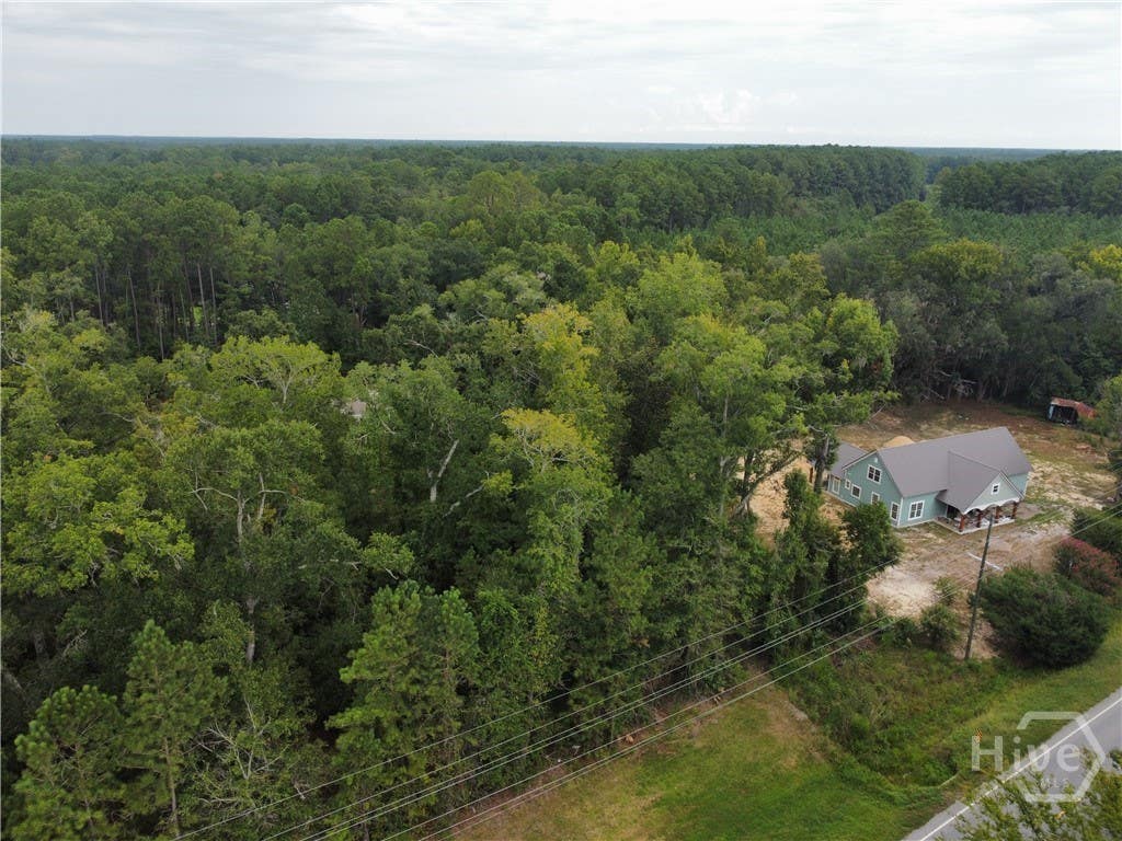 Photo of 2440 Ga Highway 119 S, Guyton, GA 31312 (MLS # SA363299)