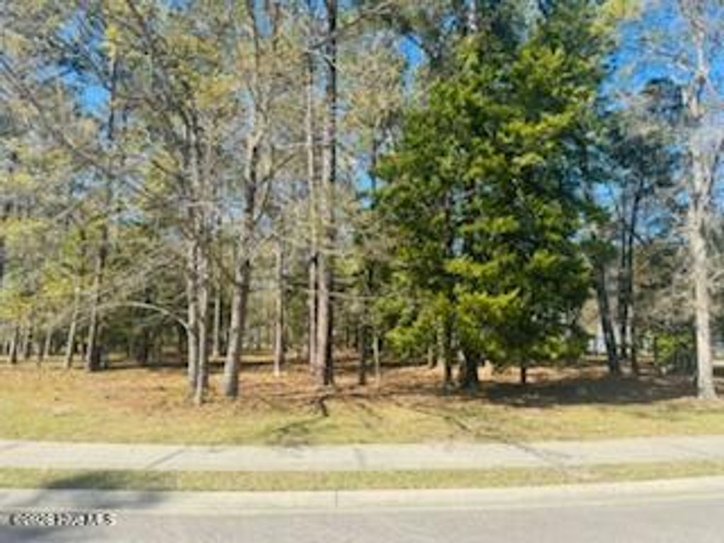 Photo of 2149 Arnold Palmer Drive, Shallotte, NC 28470 (MLS # 100563977)