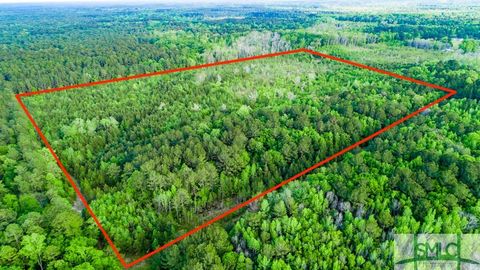 Vacant Land For Sale - TBD Dunham Williams Road<br/> Jasper County, Hardeeville, SC 29927