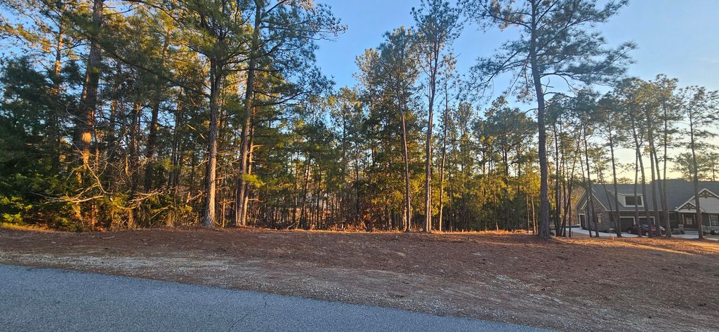 Photo of 0 Amelia, McCormick, SC 29835 (MLS # 551910)
