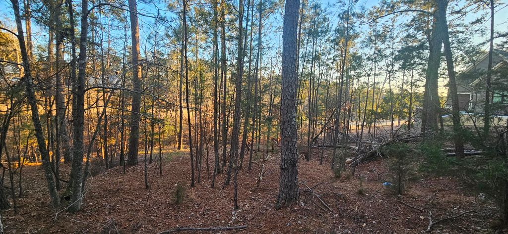 Photo of 0 Amelia, McCormick, SC 29835 (MLS # 551910)