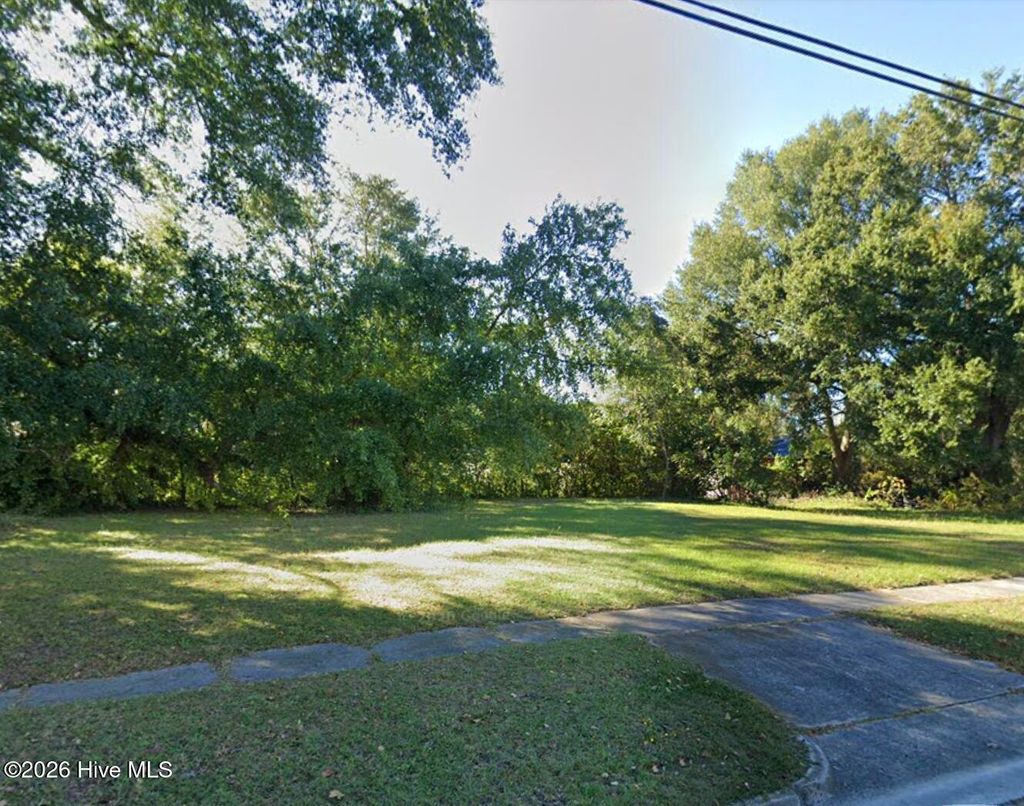 Photo of 913 N 7th Street, Wilmington, NC 28401 (MLS # 100572558)