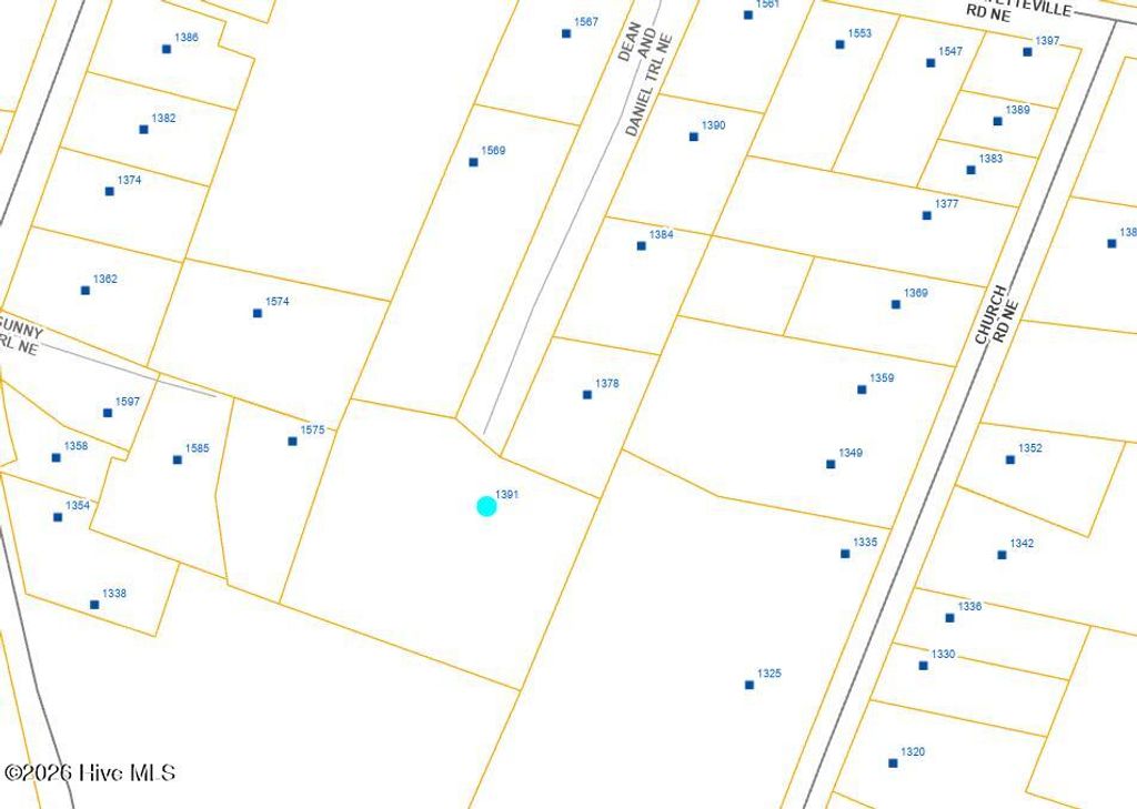 Photo of 1391 Dean And Daniel Trail NE, Leland, NC 28451 (MLS # 100551552)