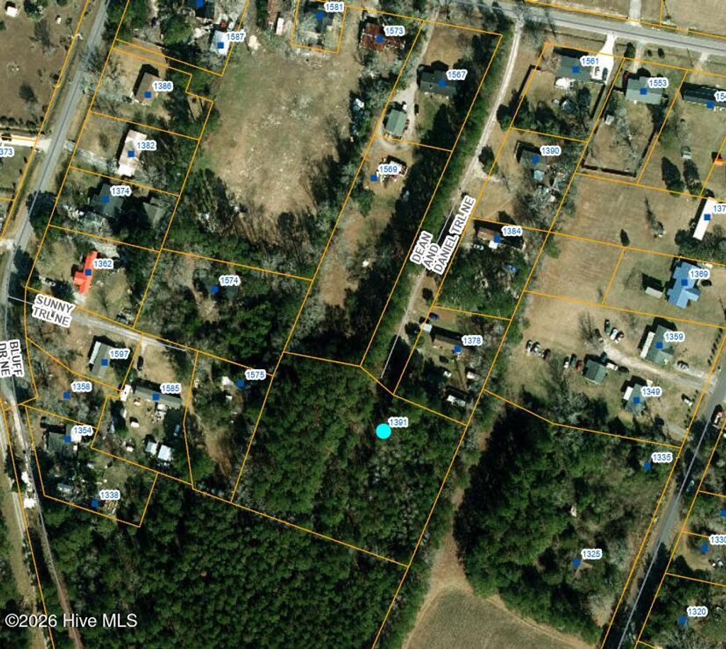 Photo of 1391 Dean And Daniel Trail NE, Leland, NC 28451 (MLS # 100551552)