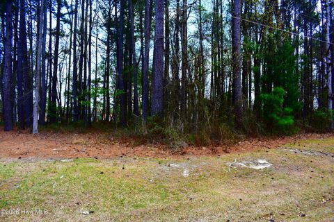 Vacant Land For Sale - 6704 Wood Avenue<br/> Wilson County, Saratoga, NC 27873