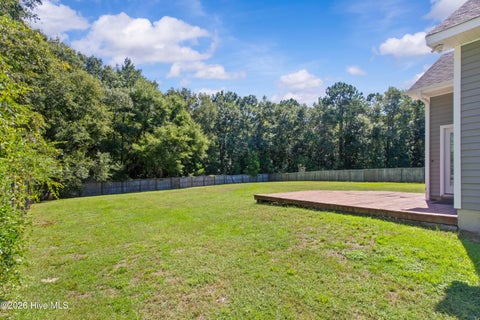Tiny photo for 234 Blue Creek Farms Drive, Jacksonville, NC 28540 (MLS # 100605697)