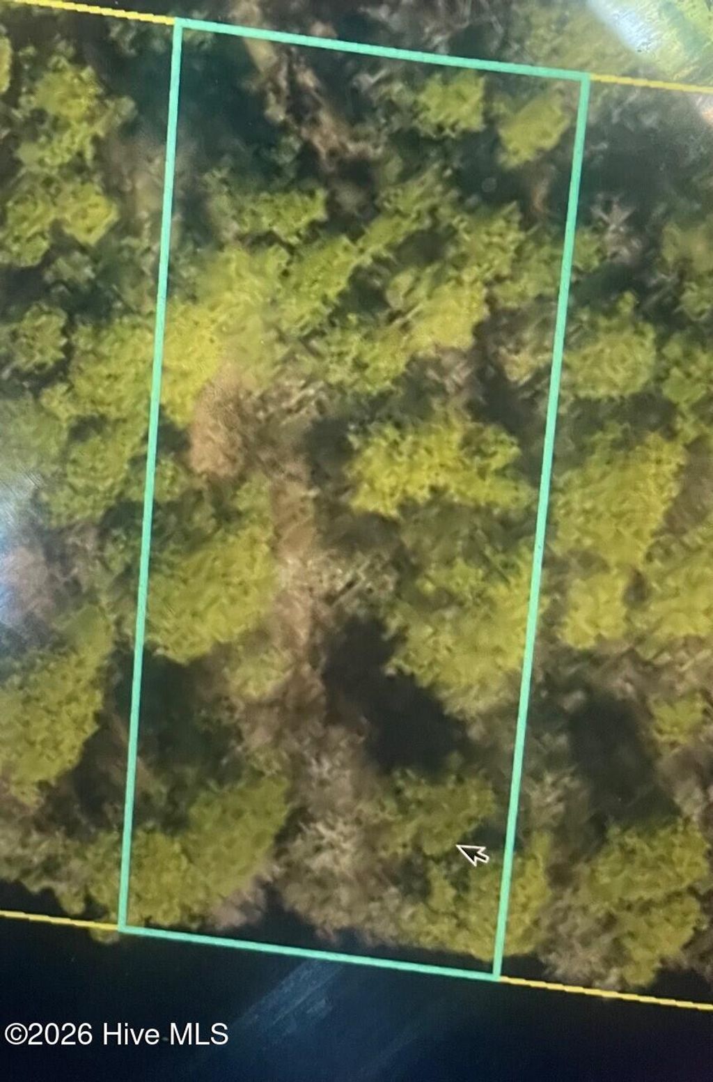 Photo of 250 S Horsepen Drive, Harrells, NC 28444 (MLS # 100568230)