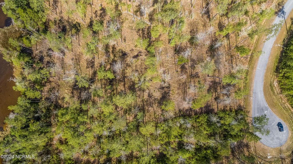 Photo of 286 Mason Bay Road, Merritt, NC 28556 (MLS # 100440226)