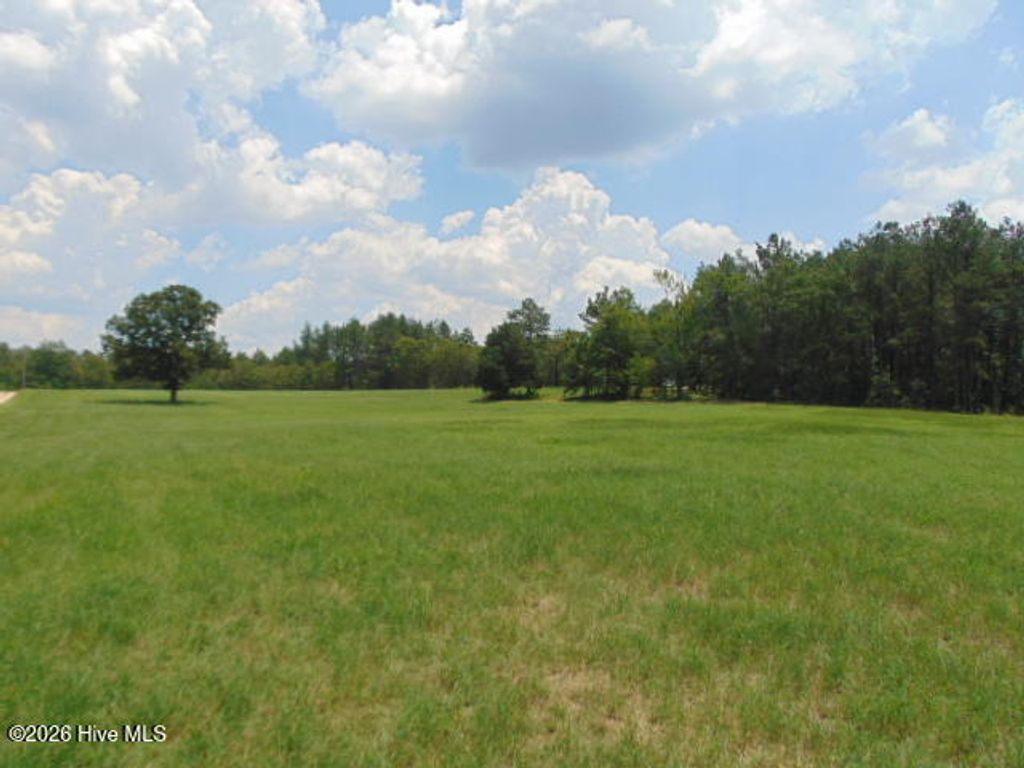 Photo of 490 Springhill Church Road, Hamlet, NC 28345 (MLS # 100566205)