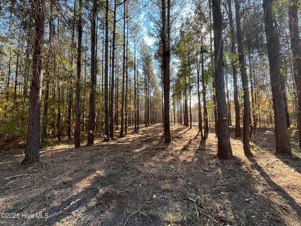 Photo of 3227 Lee Landing Road, New Bern, NC 28560 (MLS # 100504733)