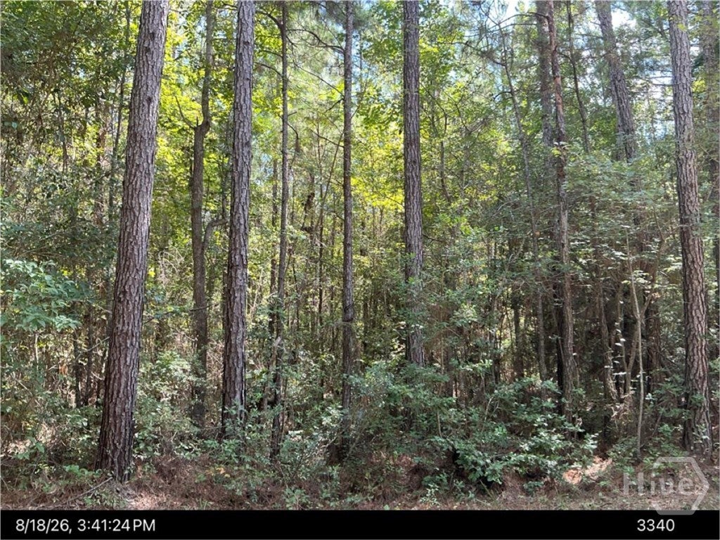 Photo of 949 US HWY 80, Eden, GA 31302 (MLS # SA365312)