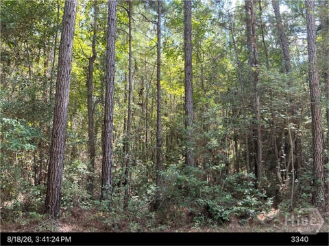Vacant Land For Sale - 949 Us Hwy 80<br/> Effingham County, Eden, GA 31302