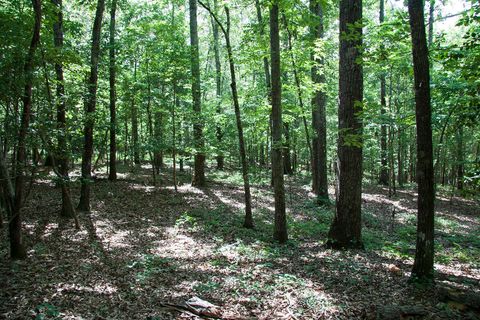 Vacant Land For Sale - 1515C Hephzibah - Mcbean Road<br/> Hephzibah, GA 30815