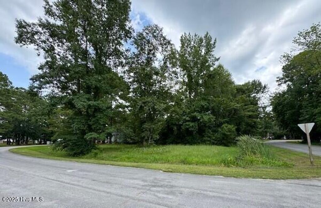 Photo of 113 Channel Run Drive, River Bend, NC 28562 (MLS # 100528358)