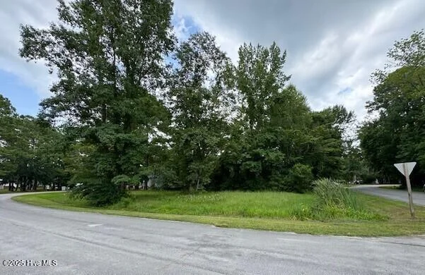 113 Channel Run Drive, River Bend, NC, 28562
