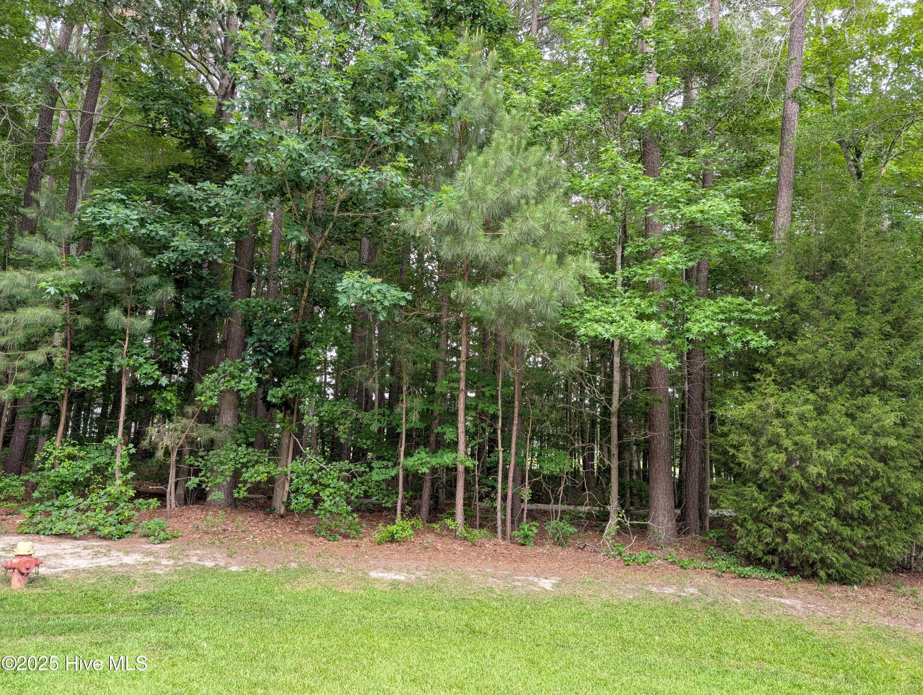 124 Nottaway Drive