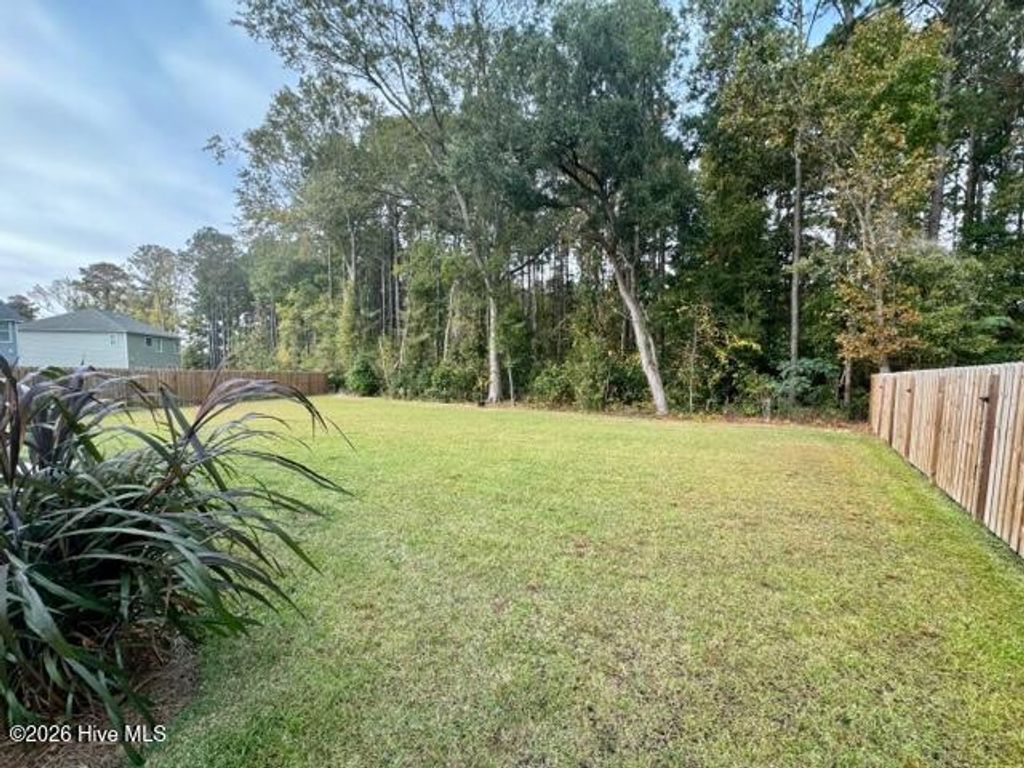 Photo of 1277 Dabney Park Drive, Leland, NC 28451 (MLS # 100567488)