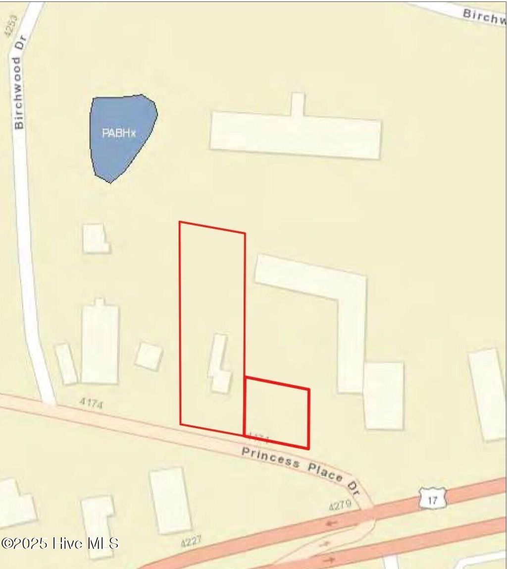 Photo of 4213 Princess Place Drive, Wilmington, NC 28405 (MLS # 100545529)