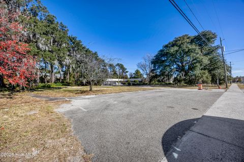 Tiny photo for 4213 Princess Place Drive, Wilmington, NC 28405 (MLS # 100545529)