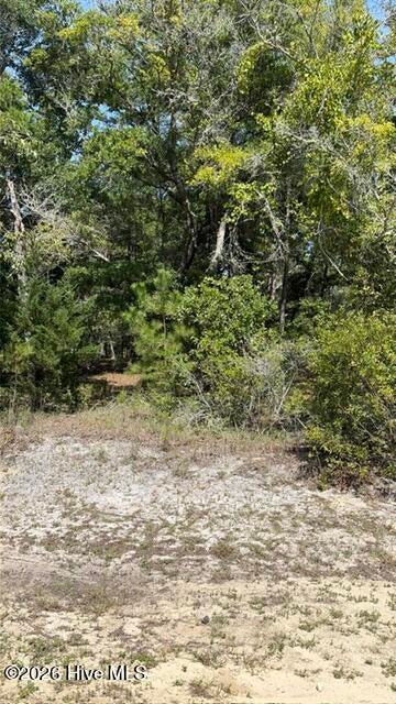 Photo of 3374 Sandridge Lane SW, Supply, NC 28462 (MLS # 100603720)