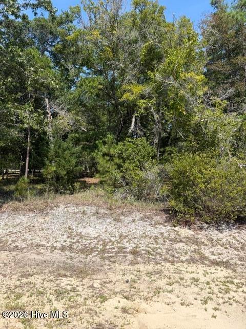 Photo of 3374 Sandridge Lane SW, Supply, NC 28462 (MLS # 100603720)